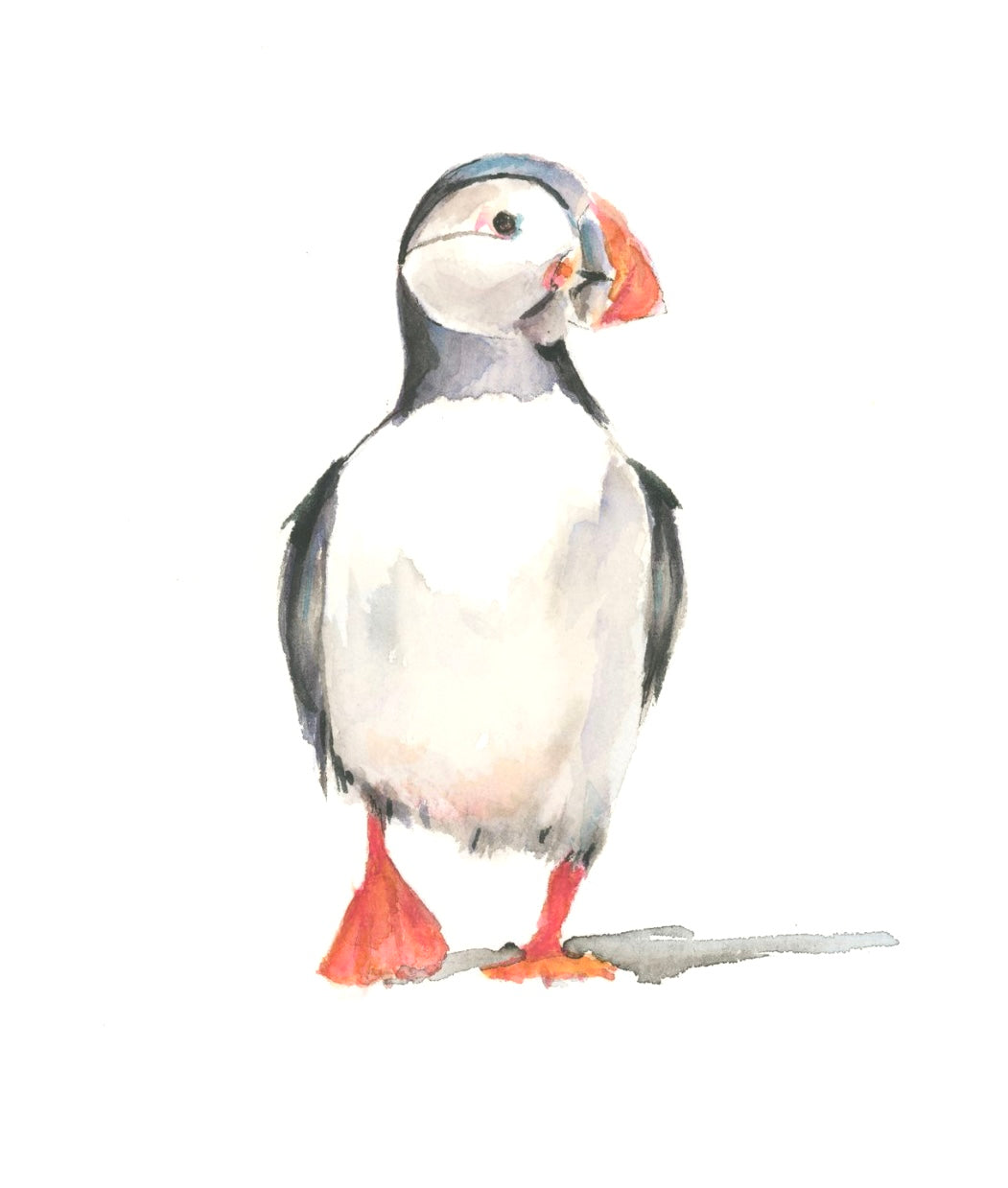 Puffin