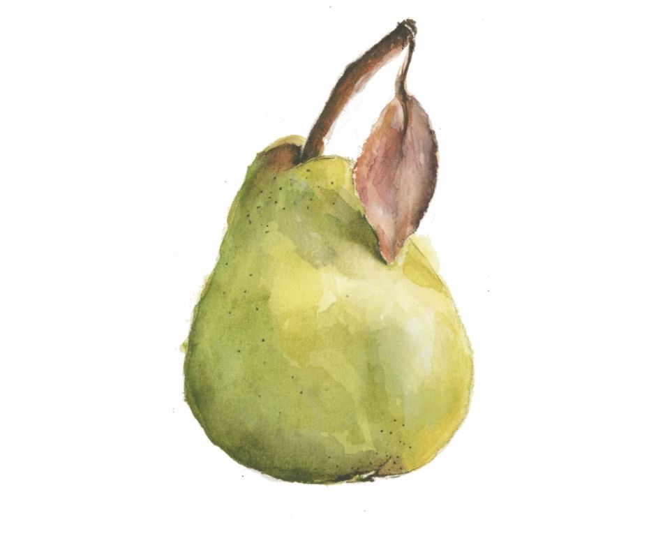 Pear