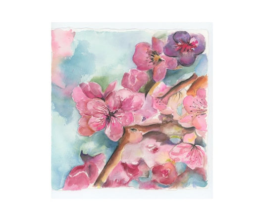 Peach Blossom