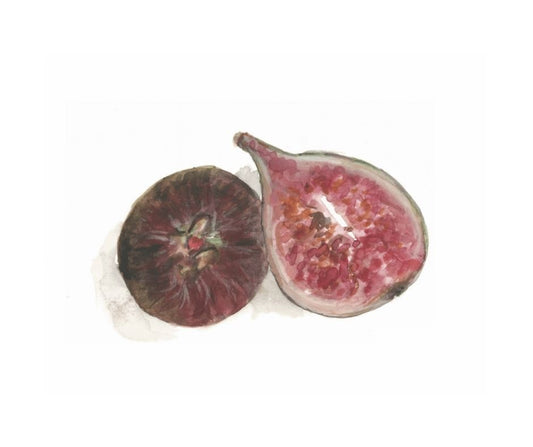 Fig