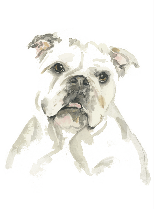 Bulldog