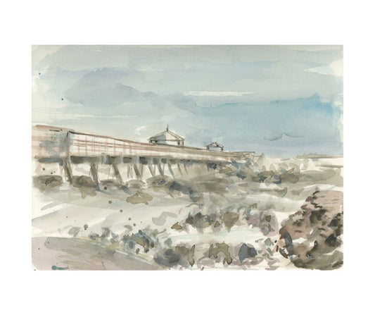 Costal Reverie