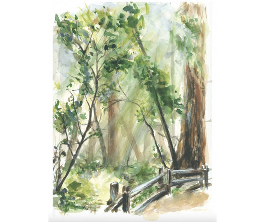 Muir Woods