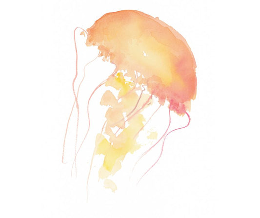 Jelly fish